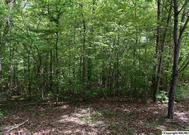 Property at 16.4 ac Highway 278, Hokes Bluff, AL 35903