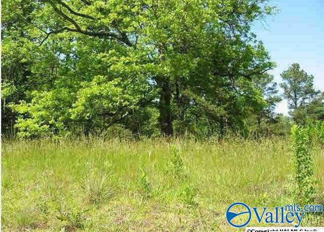 Property at 3 & 4 Mitchell Ave, Albertville, AL 35950