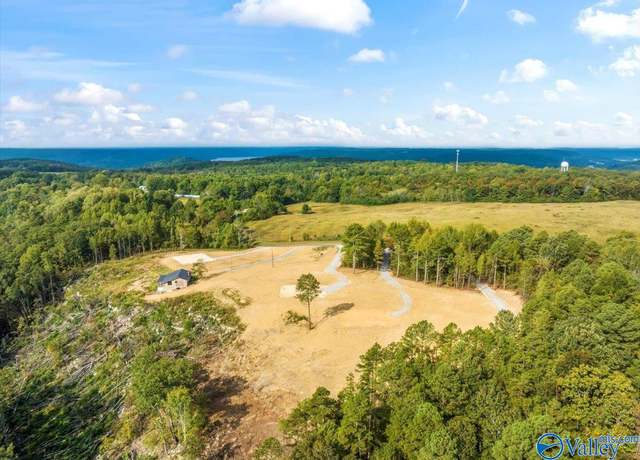 Property at 718 Loper Ln, Guntersville, AL 35976