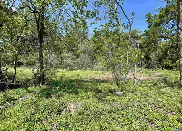 Property at 4 Acres Laurel St SW, Decatur, AL 35603