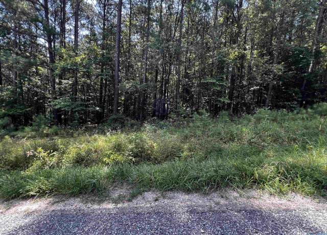 Property at .69 Acres County Road 592, Leesburg, AL 35983