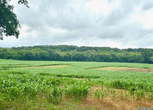 Property at 41+/- ACRES County Lake Rd, Gurley, AL 35748