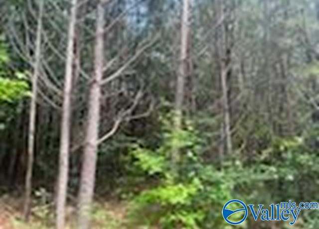 Property at 1.10 ac County Road 57, Fort Payne, AL 35967
