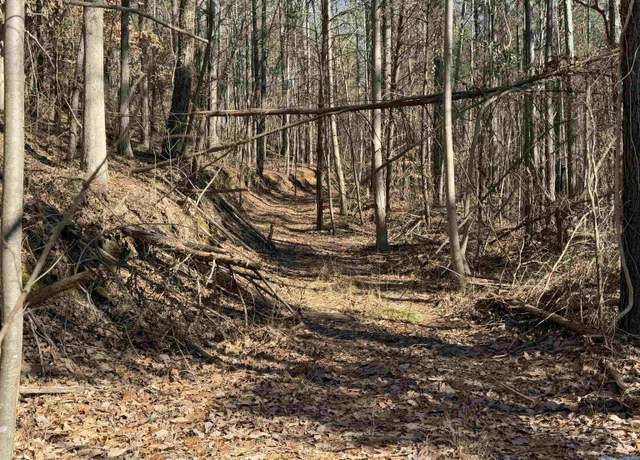 Property at 13.3 acres County Road 261, Town Creek, AL 35672