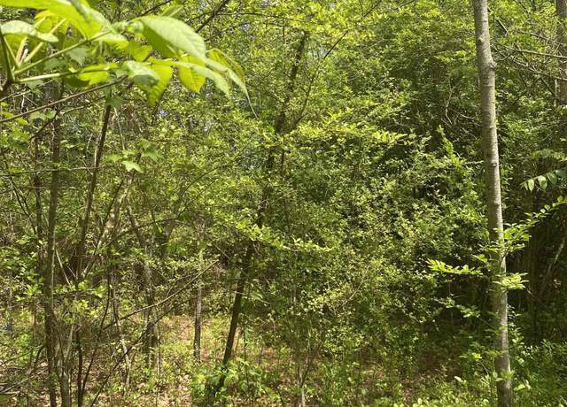 Property at 2323 Clayton Ave, Gadsden, AL 35904
