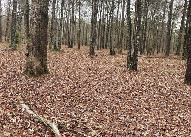 Property at 7 A County Road 497, Centre, AL 35960