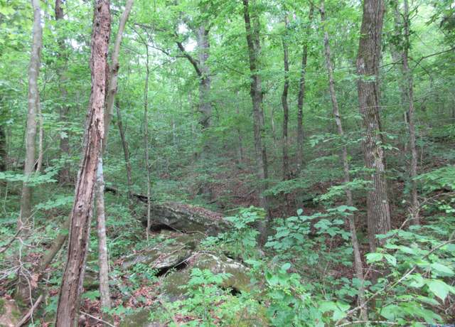 Property at 2025 County Road 74, Bridgeport, AL 35740