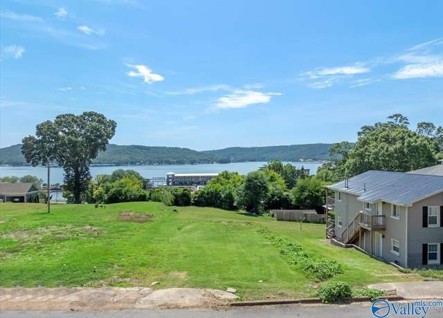 Property at 247 Hill Ave, Guntersville, AL 35976