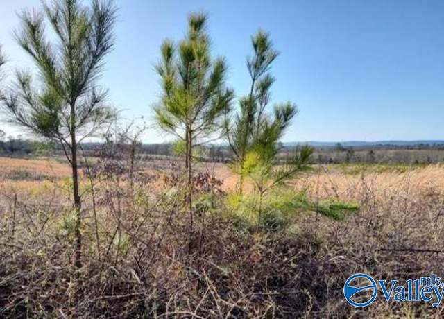 Property at 200 Ac Tom Cat Rd, Gadsden, AL 35901