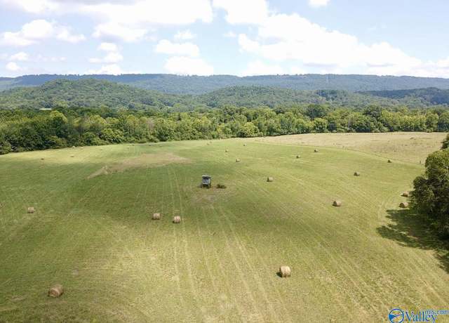 Property at 50 Acres County Road 494, Bryant, AL 35958