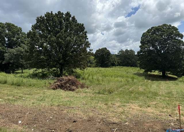 Property at Tract 2 County Road 656, Anderson, AL 35610