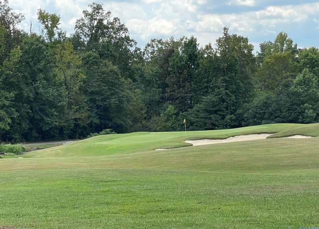 Property at Lot 14 Grandview Cir, Glencoe, AL 35905