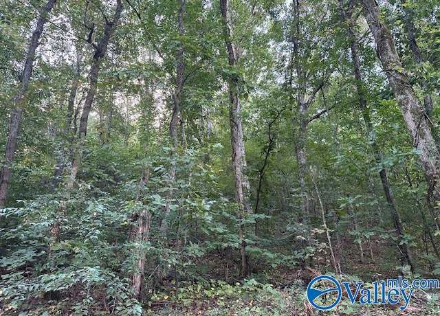 Property at * Wyeth Dr, Guntersville, AL 35976