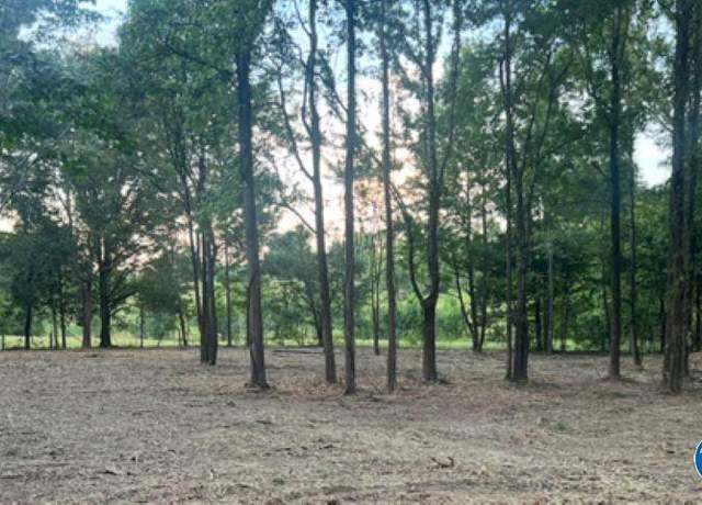 Property at 2.6acres County Road 242, Moulton, AL 35650