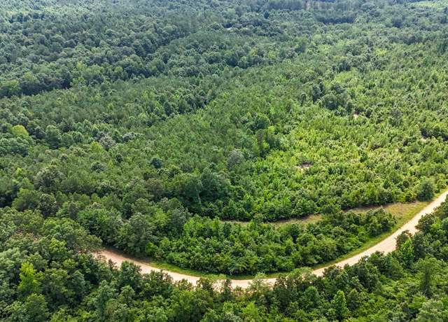 Property at 39 ACRES County Road 87, Vina, AL 35593