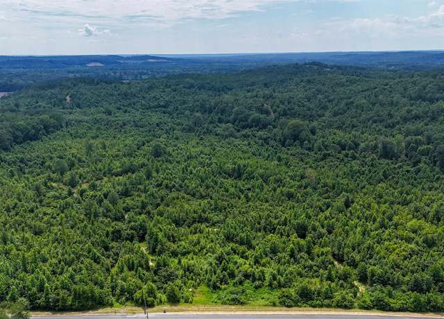 Property at 139 ACRES County Road 87, Vina, AL 35593