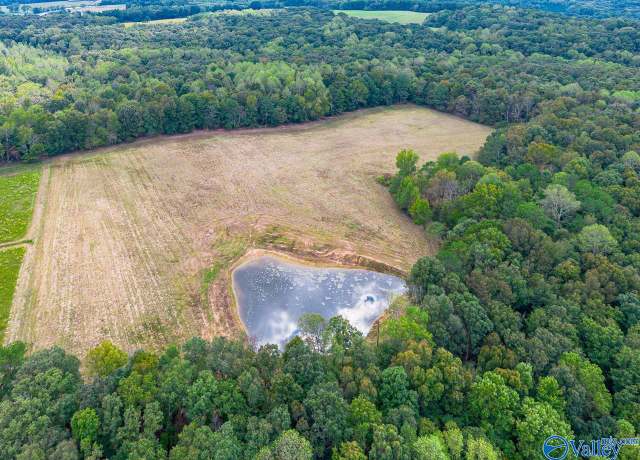 Property at 40 acres Eva Rd, Falkville, AL 35622