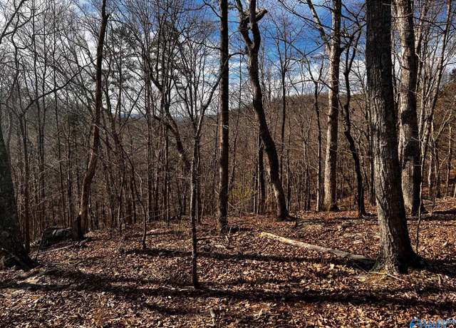 Property at 11.5 acres Holcomb Ridge Rd, Grant, AL 35776