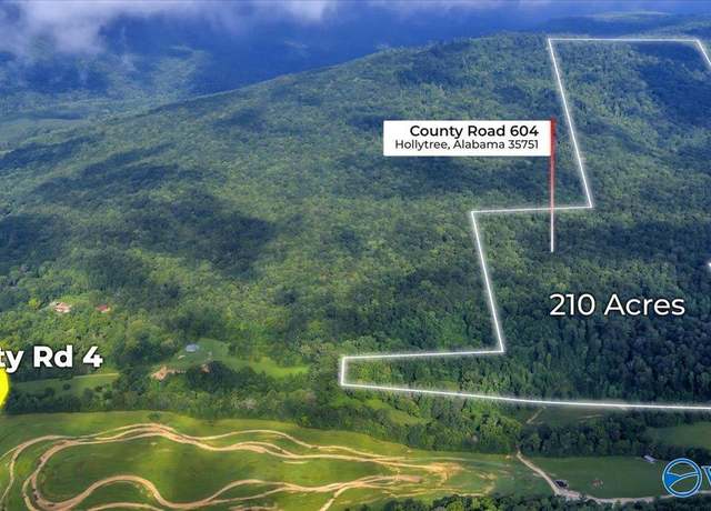 Property at 210 Acres County Road 604, Hollytree, AL 35751