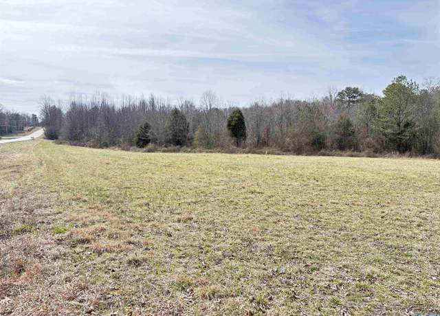 Property at 3.67 ac Hwy 75, Ider, AL 35981