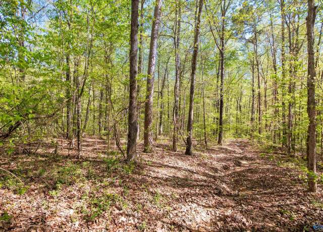 Property at LOT 28 County Road 279, Moulton, AL 35650