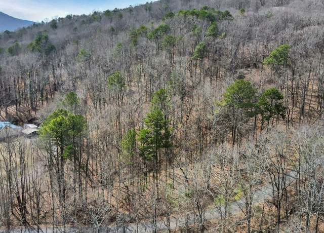 Property at 3.36 acres Blowing Cave Rd, Gurley, AL 35748