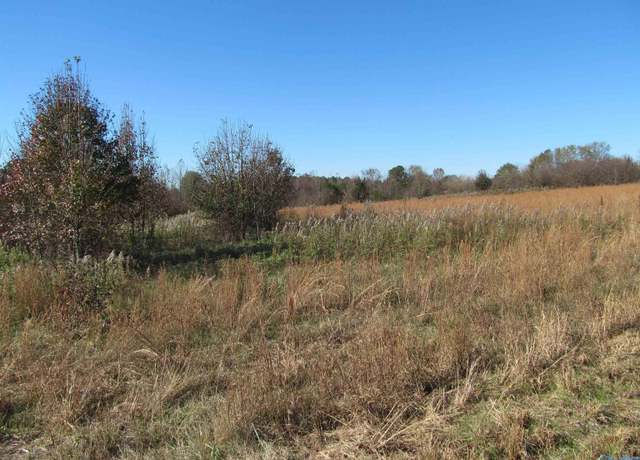Property at 8.8 Rice Mill Rd, Albertville, AL 35951