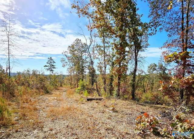 Property at 3083 County Road 325, Hamilton, AL 35570