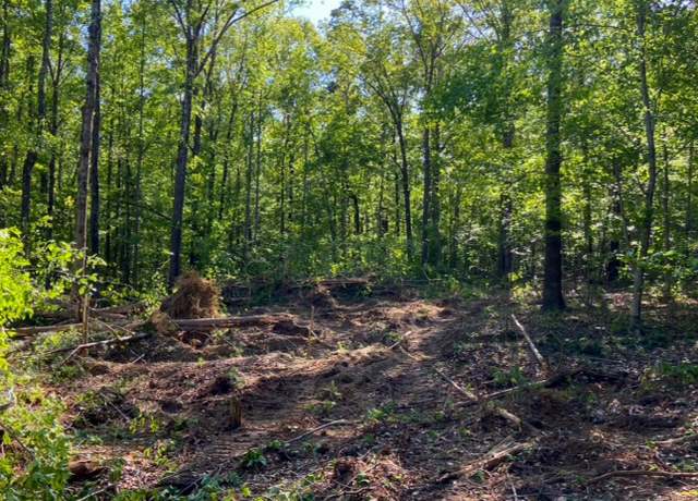 Property at 1 Acre County Road 279, Moulton, AL 35650