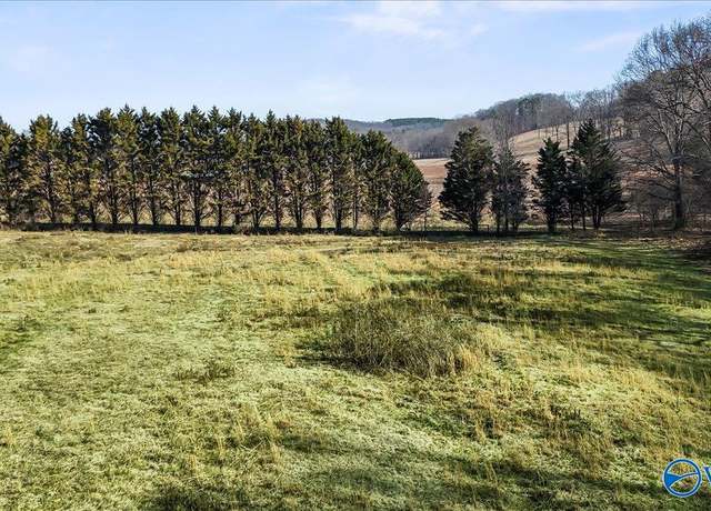 Property at 8064 Sand Valley Rd, Attalla, AL 35954