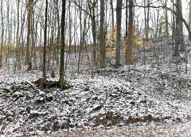Property at 162 Old Burney Mountain Rd, Falkville, AL 35622