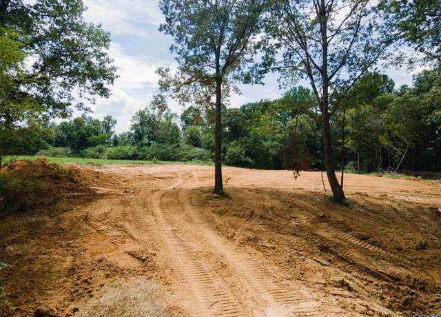 Property at 1717 County Road 1579, Baileyton, AL 35019