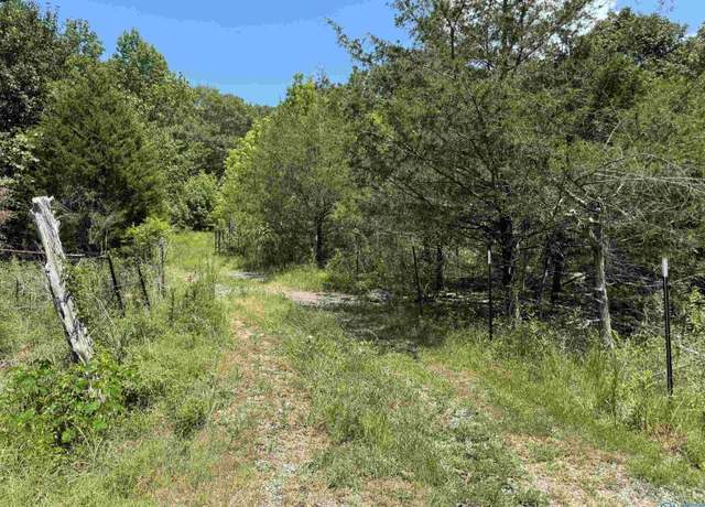 Property at 494 County Road 221, Scottsboro, AL 35768