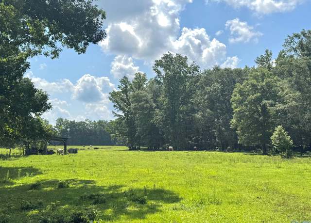 Property at 124 Acres County Road 170, Moulton, AL 35650