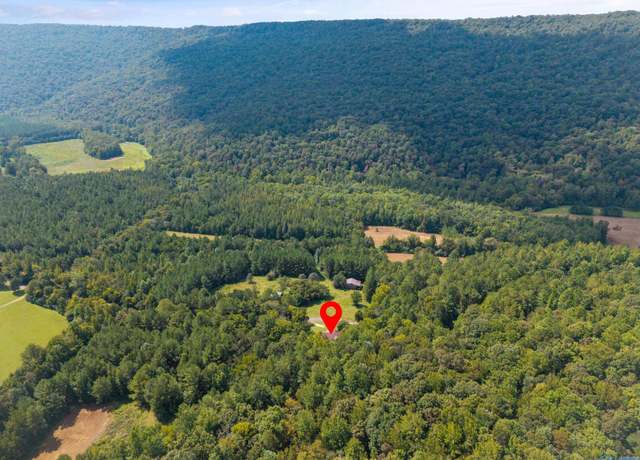 Property at 3818 -5 County Road 4 Unit Tract 5, Hollytree, AL 35751