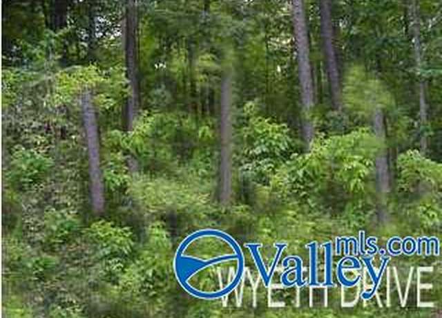 Property at 40 & 41 Wyeth Dr, Guntersville, AL 35976