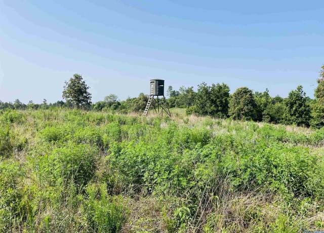 Property at 200 ac County Road 81, Flat Rock, AL 35966