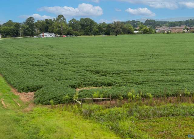 Property at 22 acres Old Hwy 431, Owens Cross Roads, AL 35763