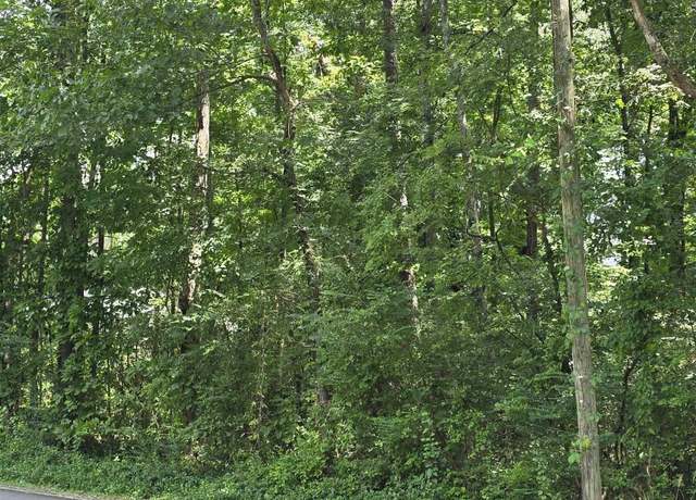 Property at .46 Acres 10th St NW, Arab, AL 35016