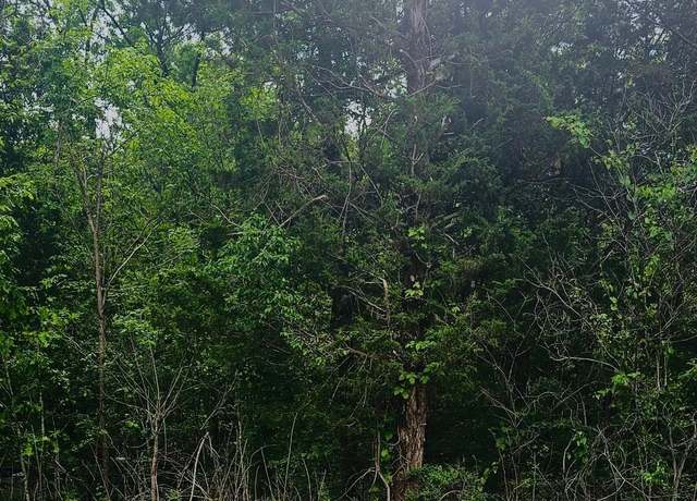 Property at 2.0 Acres County Road 84, Danville, AL 35619