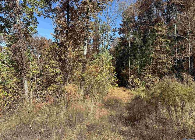 Property at 4 acres Keel Mountain Rd, Gurley, AL 35748