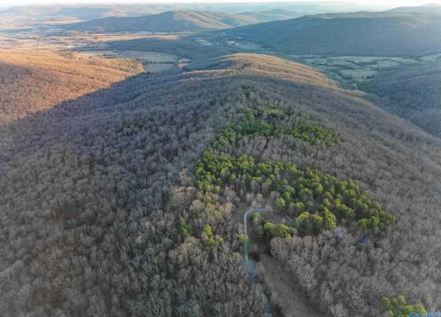 Property at 1150 Pleasant Grove Rd, Woodville, AL 35776