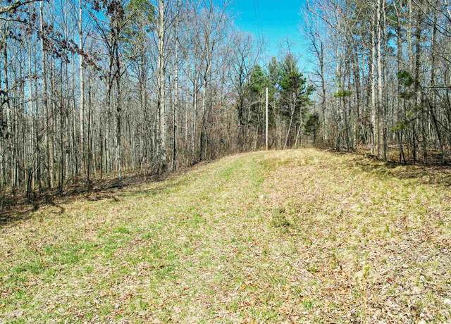 Property at 40 acres County Road 492, Henagar, AL 35978