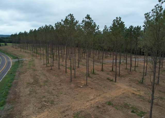 Property at 6.6 Acres Mount Nebo Rd, Falkville, AL 35622