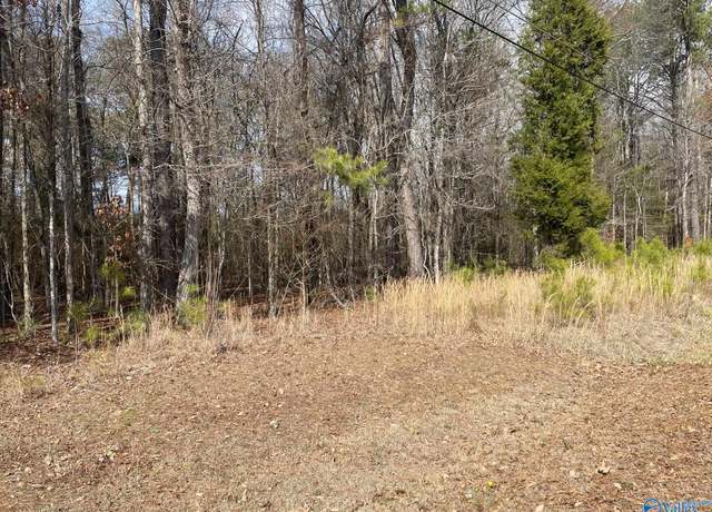 Property at Lot 4 Indian Lake Dr, Rainbow City, AL 35906