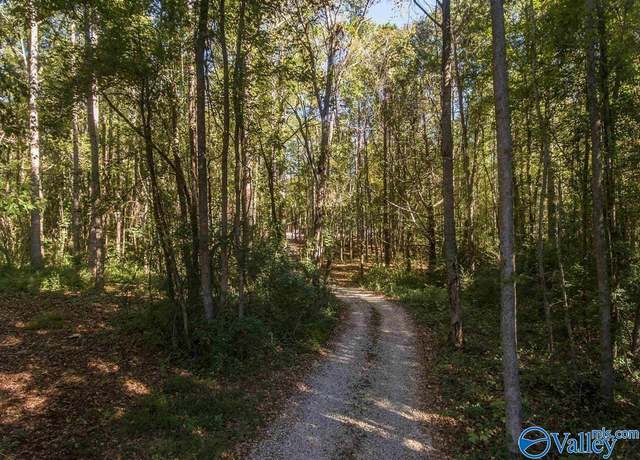 Property at 431 County Road 30, Roanoke, AL 36274