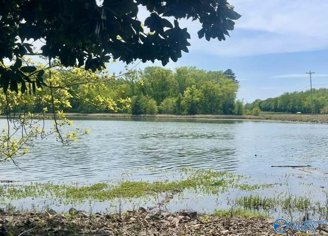 Property at 81 Shoreline Cir, Guntersville, AL 35976