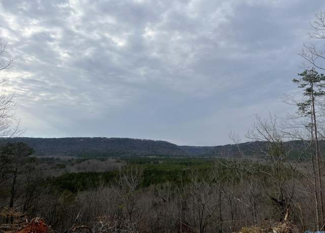 Property at 1450 County Road 137, Cedar Bluff, AL 35959