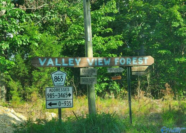 Property at 22A County Road 865, Gaylesville, AL 35973
