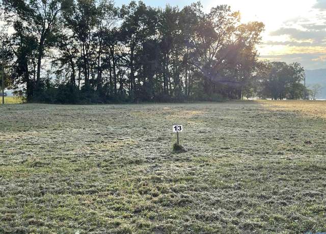 Property at 1080 Lake Forest Dr W, Southside, AL 35907
